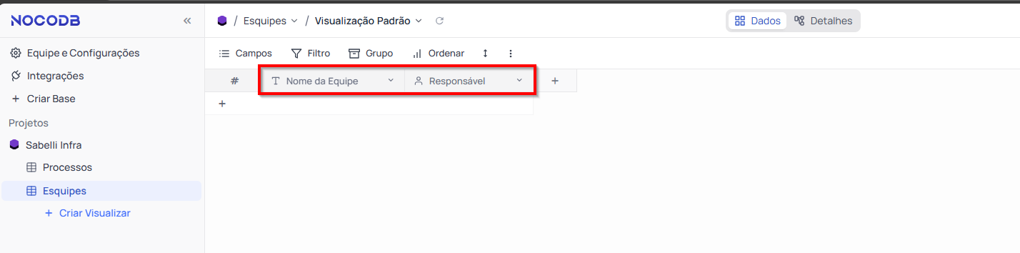 Adicione colunas como "Nome da Equipe" e "Responsável" NocoDB
