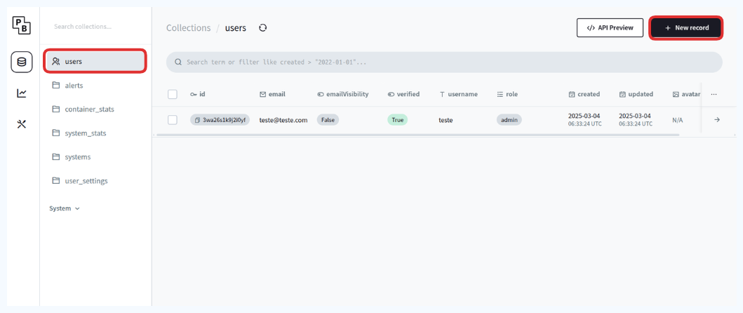 Selecione do lado esquerdo "Users" e depois clique em "New Record"